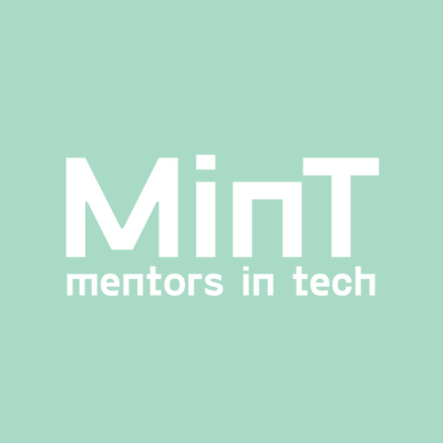 Mentors in Tech (MinT), Startup Mentor